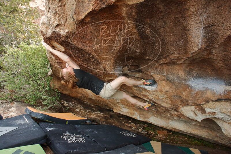 

Filename: SRM_20200315_1706260.jpg
Aperture: f/8.0
Shutter Speed: 1/250
Body: Canon EOS-1D Mark II
Lens: Canon EF 16-35mm f/2.8 L