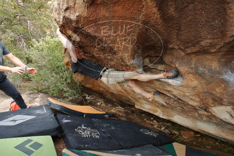 

Filename: SRM_20200315_1706340.jpg
Aperture: f/8.0
Shutter Speed: 1/250
Body: Canon EOS-1D Mark II
Lens: Canon EF 16-35mm f/2.8 L