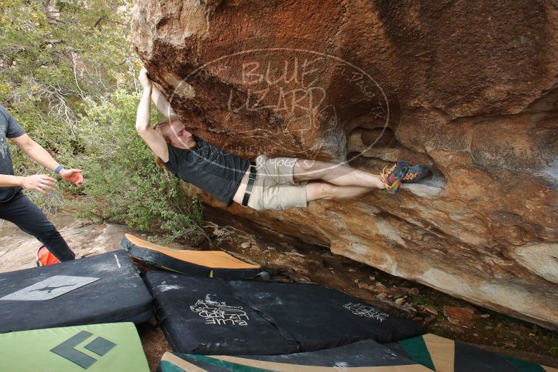 

Filename: SRM_20200315_1706390.jpg
Aperture: f/9.0
Shutter Speed: 1/250
Body: Canon EOS-1D Mark II
Lens: Canon EF 16-35mm f/2.8 L