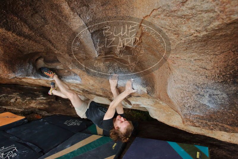 

Filename: SRM_20200315_1717090.jpg
Aperture: f/6.3
Shutter Speed: 1/250
Body: Canon EOS-1D Mark II
Lens: Canon EF 16-35mm f/2.8 L