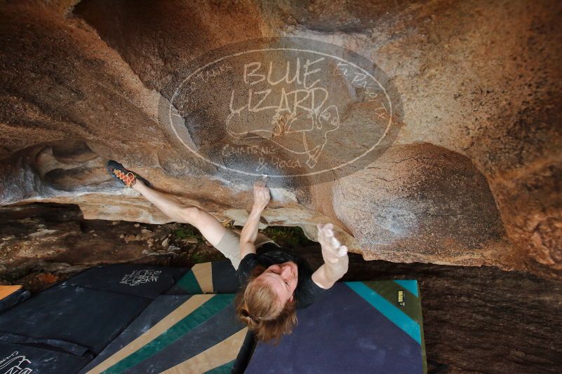 

Filename: SRM_20200315_1717230.jpg
Aperture: f/5.6
Shutter Speed: 1/250
Body: Canon EOS-1D Mark II
Lens: Canon EF 16-35mm f/2.8 L