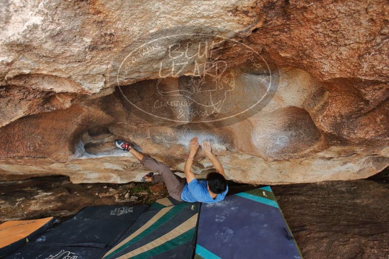 

Filename: SRM_20200315_1728220.jpg
Aperture: f/5.6
Shutter Speed: 1/250
Body: Canon EOS-1D Mark II
Lens: Canon EF 16-35mm f/2.8 L