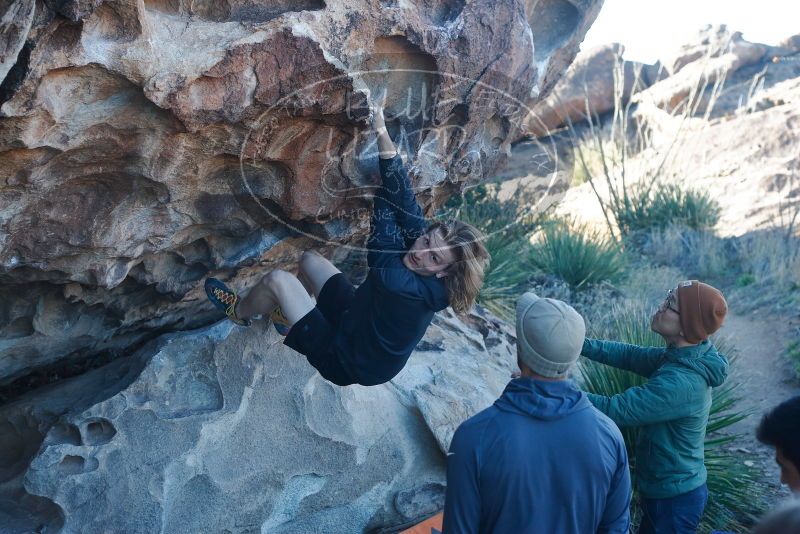 

Filename: SRM_20200316_0911000.jpg
Aperture: f/4.0
Shutter Speed: 1/320
Body: Canon EOS-1D Mark II
Lens: Canon EF 50mm f/1.8 II