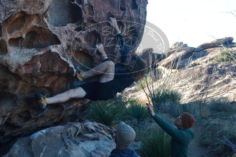 

Filename: SRM_20200316_0911140.jpg
Aperture: f/5.6
Shutter Speed: 1/320
Body: Canon EOS-1D Mark II
Lens: Canon EF 50mm f/1.8 II