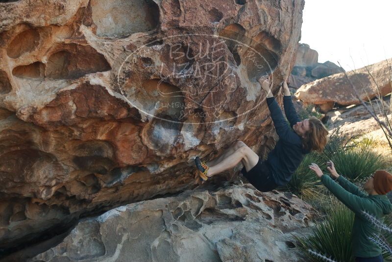 

Filename: SRM_20200316_0917570.jpg
Aperture: f/5.0
Shutter Speed: 1/320
Body: Canon EOS-1D Mark II
Lens: Canon EF 50mm f/1.8 II