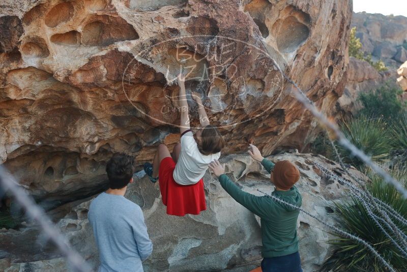 

Filename: SRM_20200316_0921160.jpg
Aperture: f/4.5
Shutter Speed: 1/320
Body: Canon EOS-1D Mark II
Lens: Canon EF 50mm f/1.8 II