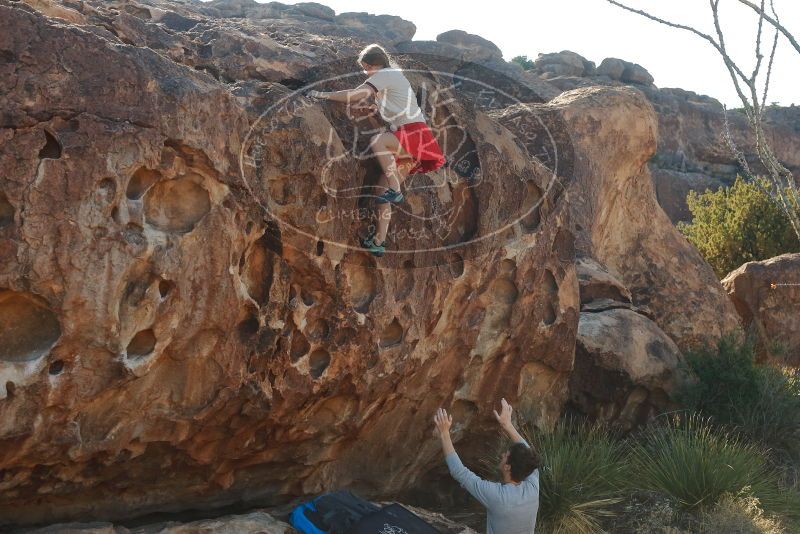 

Filename: SRM_20200316_0937040.jpg
Aperture: f/7.1
Shutter Speed: 1/320
Body: Canon EOS-1D Mark II
Lens: Canon EF 50mm f/1.8 II