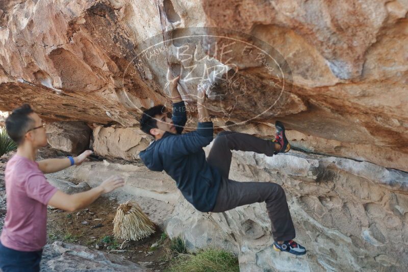 

Filename: SRM_20200316_0940490.jpg
Aperture: f/3.5
Shutter Speed: 1/320
Body: Canon EOS-1D Mark II
Lens: Canon EF 50mm f/1.8 II