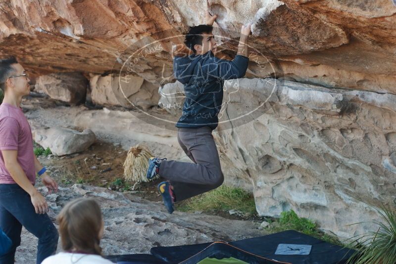 

Filename: SRM_20200316_0941030.jpg
Aperture: f/3.5
Shutter Speed: 1/320
Body: Canon EOS-1D Mark II
Lens: Canon EF 50mm f/1.8 II