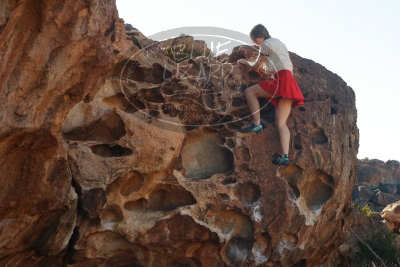 

Filename: SRM_20200316_1002380.jpg
Aperture: f/8.0
Shutter Speed: 1/320
Body: Canon EOS-1D Mark II
Lens: Canon EF 50mm f/1.8 II