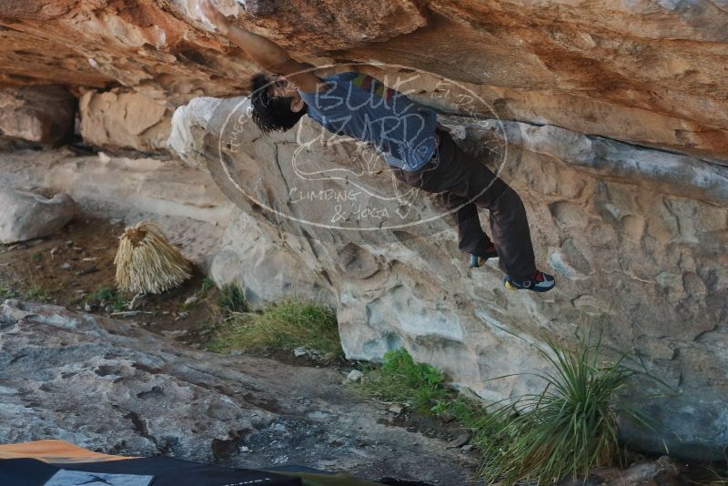 

Filename: SRM_20200316_1004550.jpg
Aperture: f/4.0
Shutter Speed: 1/320
Body: Canon EOS-1D Mark II
Lens: Canon EF 50mm f/1.8 II