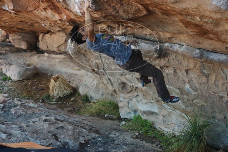 

Filename: SRM_20200316_1004551.jpg
Aperture: f/4.0
Shutter Speed: 1/320
Body: Canon EOS-1D Mark II
Lens: Canon EF 50mm f/1.8 II