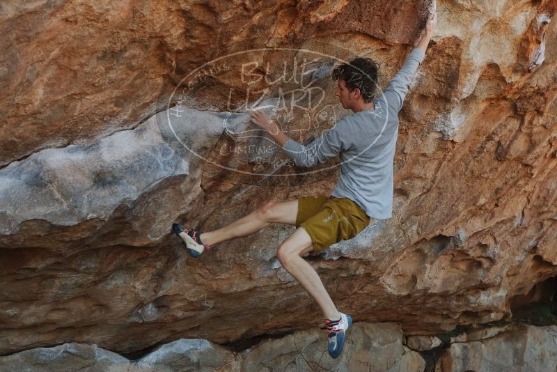 

Filename: SRM_20200316_1006470.jpg
Aperture: f/5.0
Shutter Speed: 1/320
Body: Canon EOS-1D Mark II
Lens: Canon EF 50mm f/1.8 II