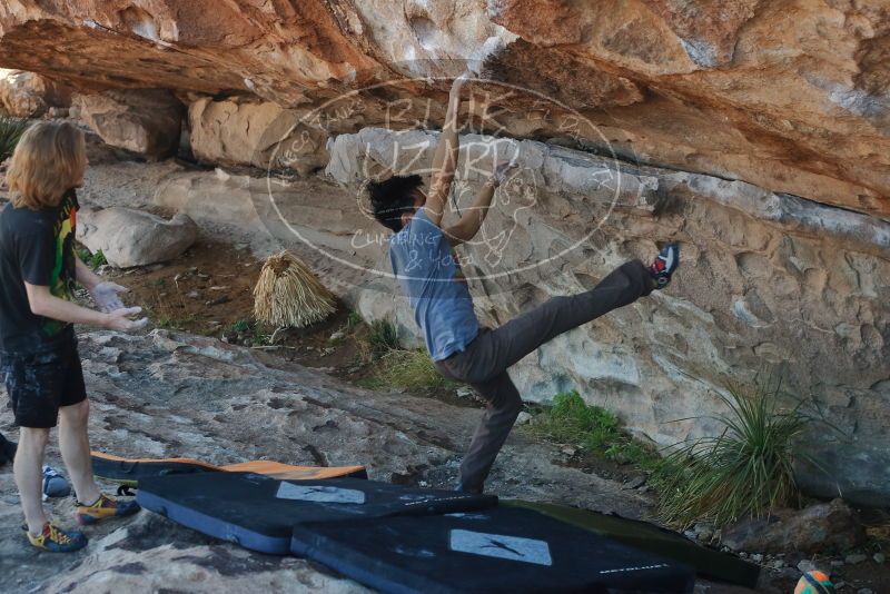 

Filename: SRM_20200316_1009060.jpg
Aperture: f/4.5
Shutter Speed: 1/320
Body: Canon EOS-1D Mark II
Lens: Canon EF 50mm f/1.8 II