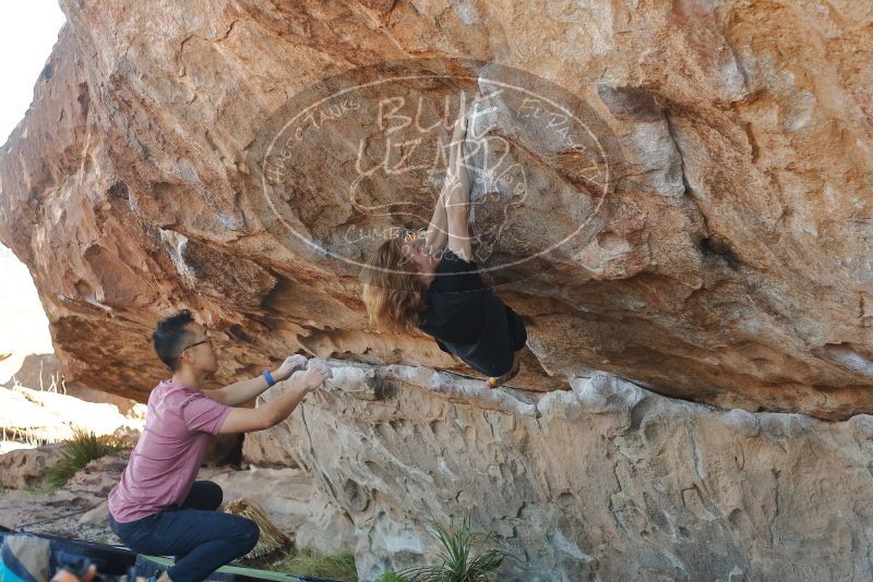 

Filename: SRM_20200316_1017290.jpg
Aperture: f/3.5
Shutter Speed: 1/500
Body: Canon EOS-1D Mark II
Lens: Canon EF 50mm f/1.8 II