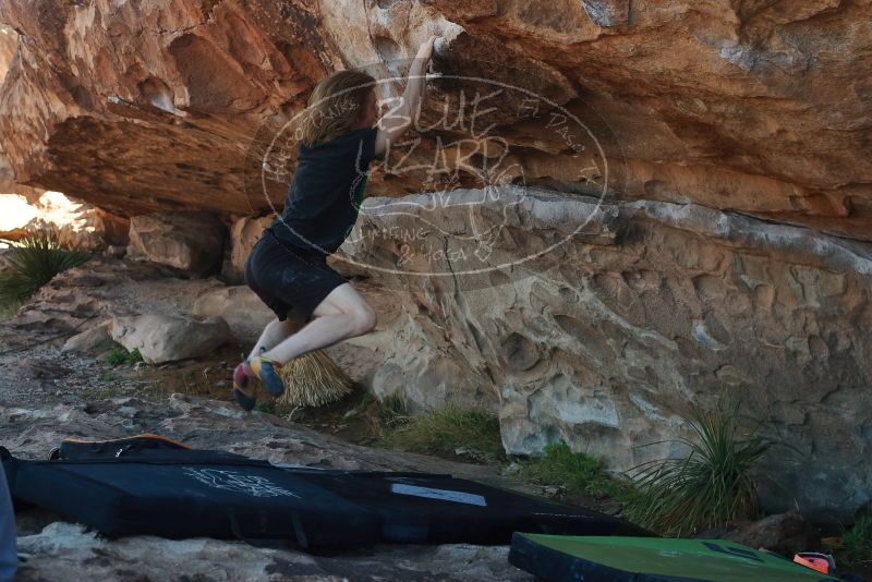 

Filename: SRM_20200316_1026206.jpg
Aperture: f/4.5
Shutter Speed: 1/500
Body: Canon EOS-1D Mark II
Lens: Canon EF 50mm f/1.8 II