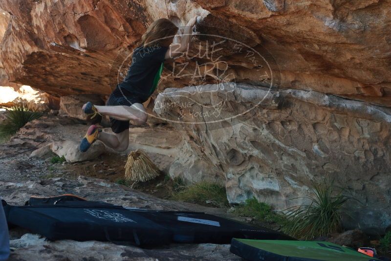 

Filename: SRM_20200316_1026210.jpg
Aperture: f/4.5
Shutter Speed: 1/500
Body: Canon EOS-1D Mark II
Lens: Canon EF 50mm f/1.8 II