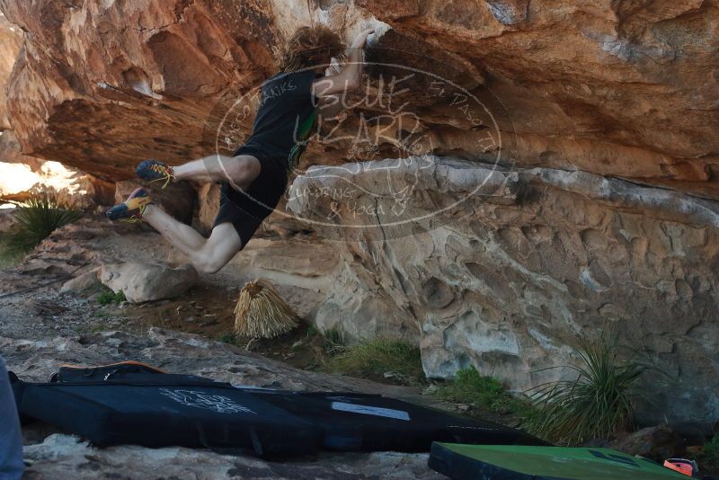 

Filename: SRM_20200316_1026212.jpg
Aperture: f/4.5
Shutter Speed: 1/500
Body: Canon EOS-1D Mark II
Lens: Canon EF 50mm f/1.8 II