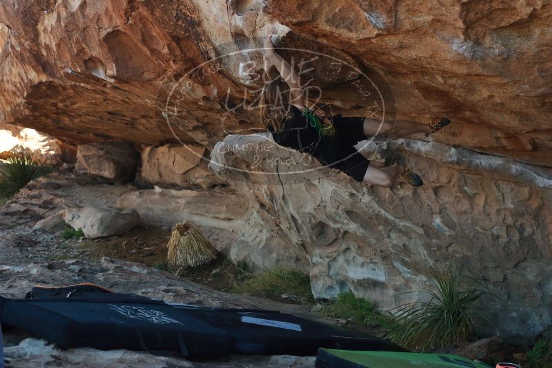 

Filename: SRM_20200316_1026220.jpg
Aperture: f/4.5
Shutter Speed: 1/500
Body: Canon EOS-1D Mark II
Lens: Canon EF 50mm f/1.8 II