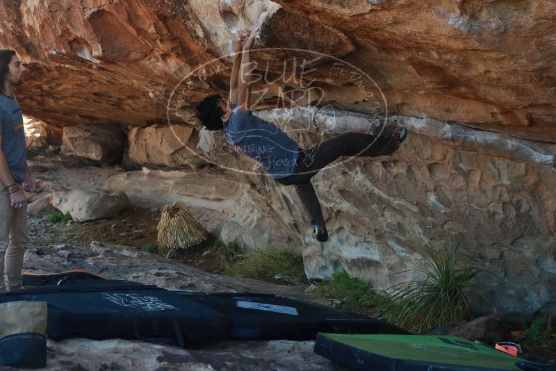 

Filename: SRM_20200316_1028031.jpg
Aperture: f/5.0
Shutter Speed: 1/500
Body: Canon EOS-1D Mark II
Lens: Canon EF 50mm f/1.8 II