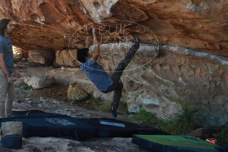 

Filename: SRM_20200316_1028032.jpg
Aperture: f/5.0
Shutter Speed: 1/500
Body: Canon EOS-1D Mark II
Lens: Canon EF 50mm f/1.8 II