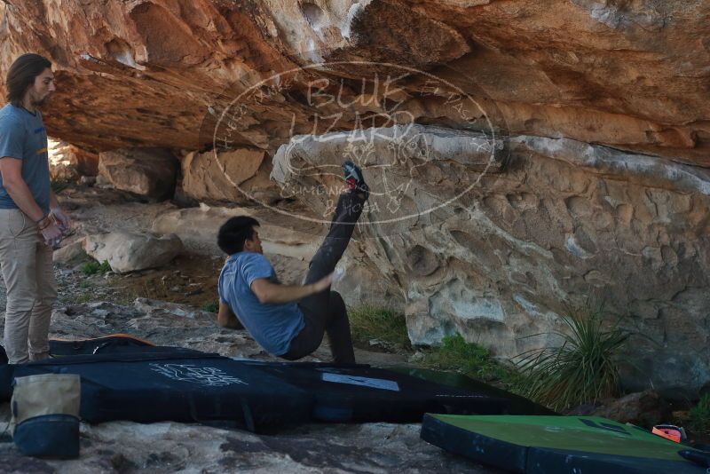 

Filename: SRM_20200316_1028033.jpg
Aperture: f/5.0
Shutter Speed: 1/500
Body: Canon EOS-1D Mark II
Lens: Canon EF 50mm f/1.8 II