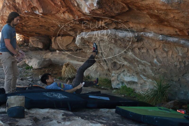 

Filename: SRM_20200316_1028034.jpg
Aperture: f/5.0
Shutter Speed: 1/500
Body: Canon EOS-1D Mark II
Lens: Canon EF 50mm f/1.8 II