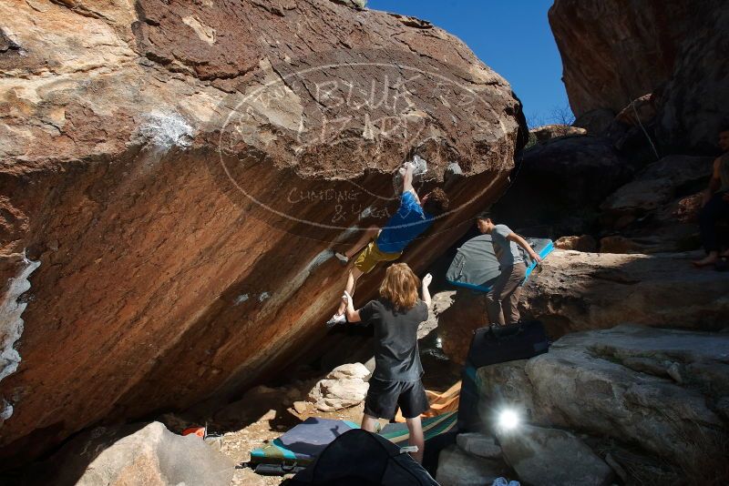 

Filename: SRM_20200316_1200470.jpg
Aperture: f/8.0
Shutter Speed: 1/250
Body: Canon EOS-1D Mark II
Lens: Canon EF 16-35mm f/2.8 L