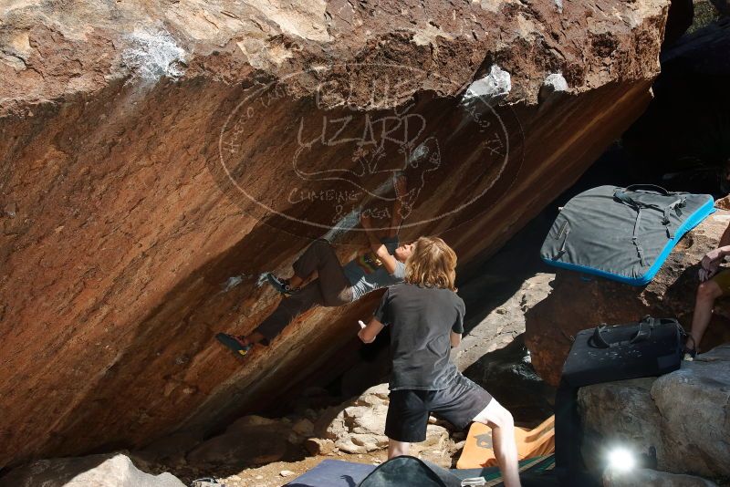 

Filename: SRM_20200316_1203450.jpg
Aperture: f/8.0
Shutter Speed: 1/250
Body: Canon EOS-1D Mark II
Lens: Canon EF 16-35mm f/2.8 L