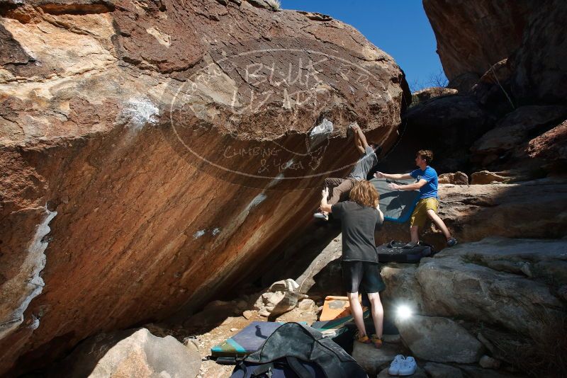 

Filename: SRM_20200316_1204060.jpg
Aperture: f/8.0
Shutter Speed: 1/250
Body: Canon EOS-1D Mark II
Lens: Canon EF 16-35mm f/2.8 L