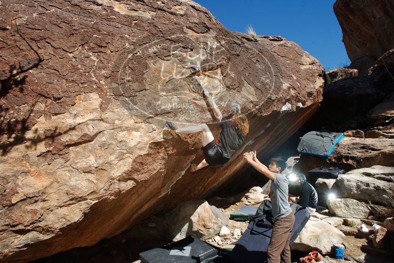 

Filename: SRM_20200316_1211520.jpg
Aperture: f/8.0
Shutter Speed: 1/250
Body: Canon EOS-1D Mark II
Lens: Canon EF 16-35mm f/2.8 L