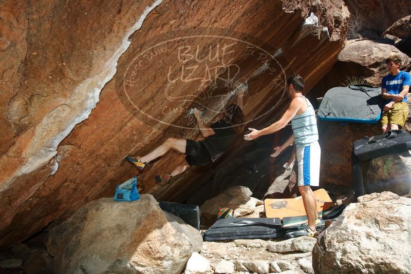 

Filename: SRM_20200316_1253120.jpg
Aperture: f/8.0
Shutter Speed: 1/250
Body: Canon EOS-1D Mark II
Lens: Canon EF 16-35mm f/2.8 L