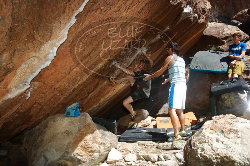 

Filename: SRM_20200316_1253160.jpg
Aperture: f/8.0
Shutter Speed: 1/250
Body: Canon EOS-1D Mark II
Lens: Canon EF 16-35mm f/2.8 L