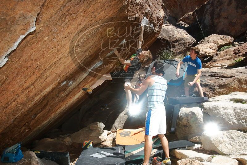 

Filename: SRM_20200316_1253360.jpg
Aperture: f/8.0
Shutter Speed: 1/250
Body: Canon EOS-1D Mark II
Lens: Canon EF 16-35mm f/2.8 L