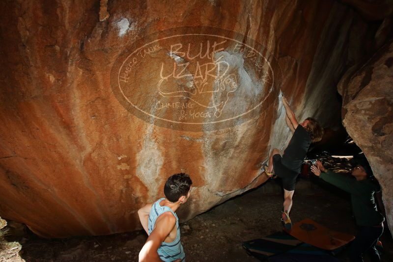 

Filename: SRM_20200316_1501140.jpg
Aperture: f/8.0
Shutter Speed: 1/250
Body: Canon EOS-1D Mark II
Lens: Canon EF 16-35mm f/2.8 L