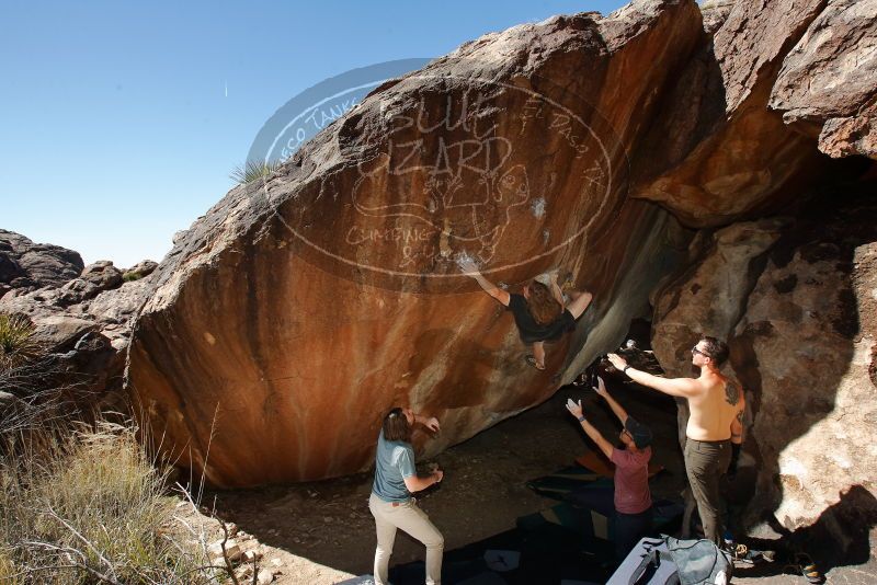 

Filename: SRM_20200316_1513480.jpg
Aperture: f/8.0
Shutter Speed: 1/250
Body: Canon EOS-1D Mark II
Lens: Canon EF 16-35mm f/2.8 L