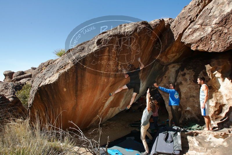 

Filename: SRM_20200316_1545060.jpg
Aperture: f/8.0
Shutter Speed: 1/250
Body: Canon EOS-1D Mark II
Lens: Canon EF 16-35mm f/2.8 L