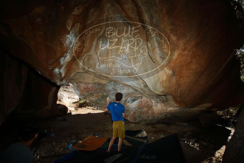 

Filename: SRM_20200316_1603190.jpg
Aperture: f/8.0
Shutter Speed: 1/250
Body: Canon EOS-1D Mark II
Lens: Canon EF 16-35mm f/2.8 L