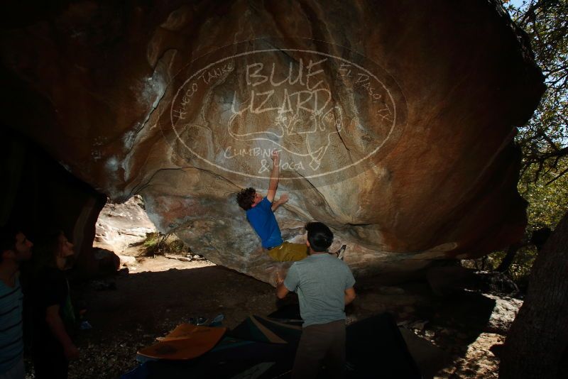 

Filename: SRM_20200316_1605500.jpg
Aperture: f/8.0
Shutter Speed: 1/250
Body: Canon EOS-1D Mark II
Lens: Canon EF 16-35mm f/2.8 L