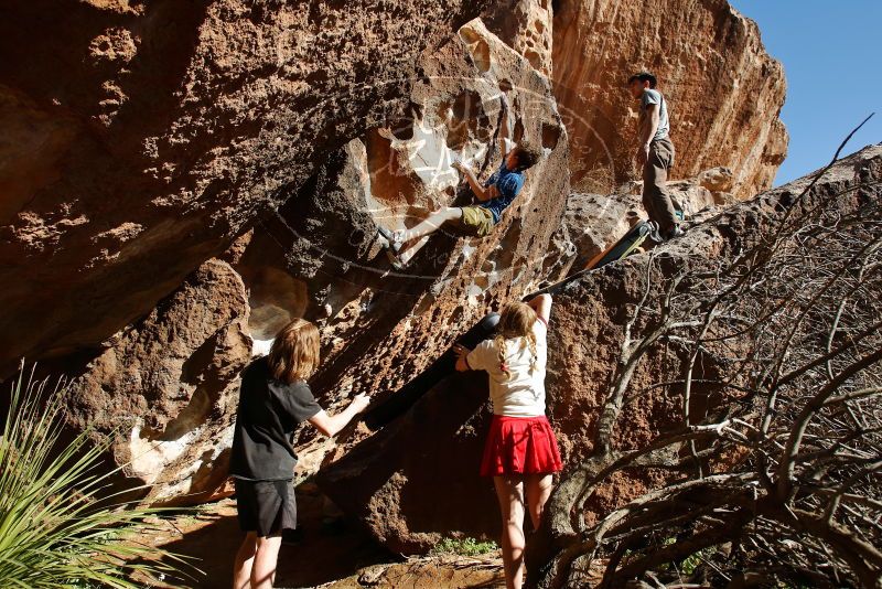 

Filename: SRM_20200316_1704320.jpg
Aperture: f/5.6
Shutter Speed: 1/320
Body: Canon EOS-1D Mark II
Lens: Canon EF 16-35mm f/2.8 L