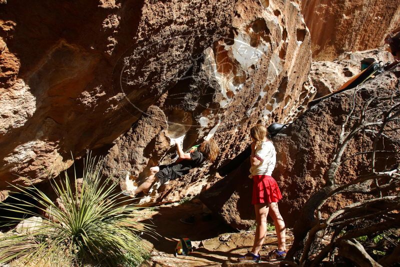 

Filename: SRM_20200316_1706270.jpg
Aperture: f/5.6
Shutter Speed: 1/250
Body: Canon EOS-1D Mark II
Lens: Canon EF 16-35mm f/2.8 L