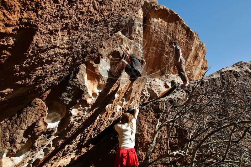 

Filename: SRM_20200316_1707100.jpg
Aperture: f/5.6
Shutter Speed: 1/320
Body: Canon EOS-1D Mark II
Lens: Canon EF 16-35mm f/2.8 L