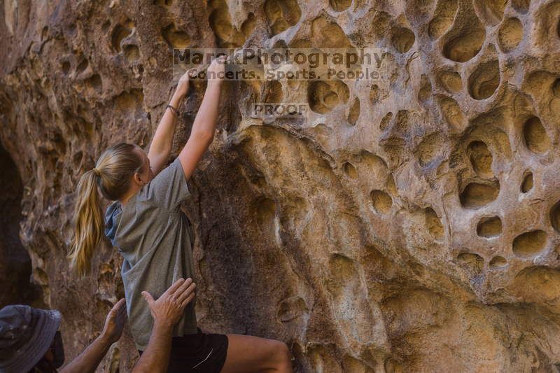Bouldering in Hueco Tanks on 10/19/2021 with Blue Lizard Climbing and Yoga

Filename: SRM_20211019_1251530.jpg
Aperture: f/2.8
Shutter Speed: 1/250
Body: Canon EOS-1D Mark II
Lens: Canon EF 50mm f/1.8 II