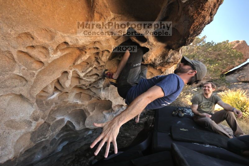 

Filename: SRM_20211106_1845190.jpg
Aperture: f/5.6
Shutter Speed: 1/400
Body: Canon EOS R6
Lens:  N/A