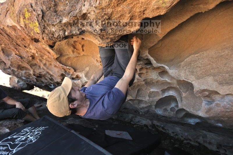 

Filename: SRM_20211106_1847430.jpg
Aperture: f/5.6
Shutter Speed: 1/400
Body: Canon EOS R6
Lens:  N/A