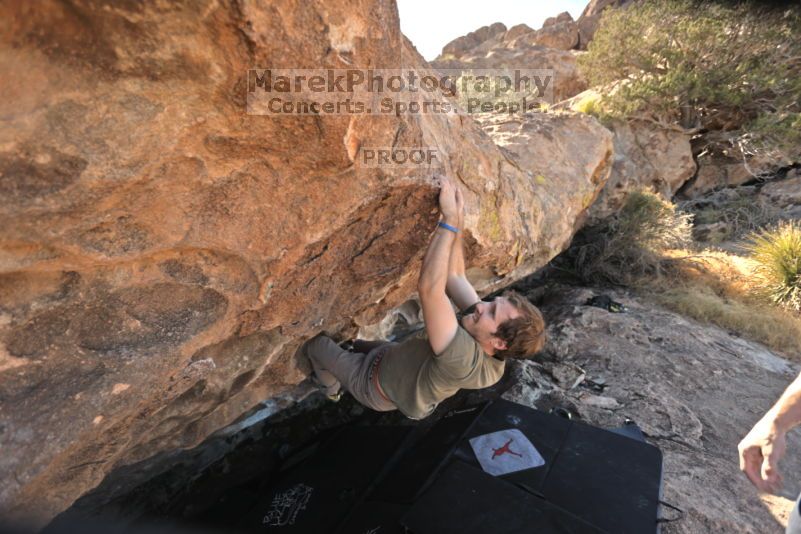 

Filename: SRM_20211106_1922550.jpg
Aperture: f/4.0
Shutter Speed: 1/320
Body: Canon EOS R6
Lens:  N/A