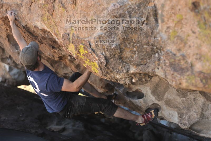 

Filename: SRM_20211106_1925290.jpg
Aperture: f/2.8
Shutter Speed: 1/320
Body: Canon EOS R6
Lens:  N/A