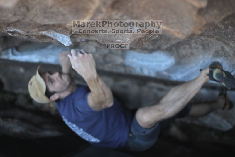 

Filename: SRM_20211106_1936221.jpg
Aperture: f/2.0
Shutter Speed: 1/320
Body: Canon EOS R6
Lens:  N/A