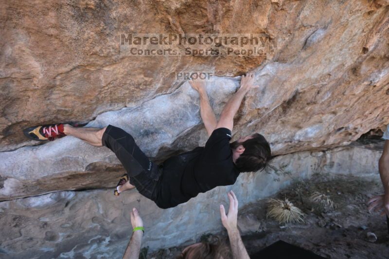 

Filename: SRM_20211107_1630270.jpg
Aperture: f/4.5
Shutter Speed: 1/500
Body: Canon EOS R6
Lens: Canon EF 16-35mm f/2.8 L