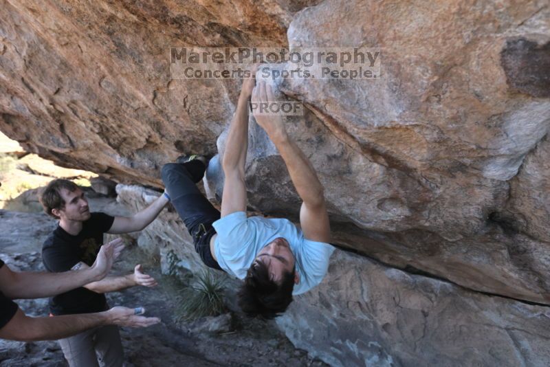 

Filename: SRM_20211107_1641560.jpg
Aperture: f/4.5
Shutter Speed: 1/500
Body: Canon EOS R6
Lens: Canon EF 16-35mm f/2.8 L